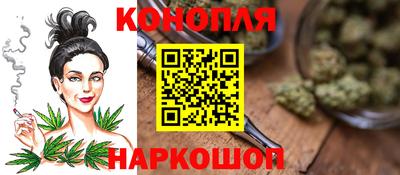 гидра Новозыбков