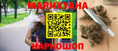 гидра Новозыбков