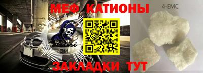 индика Новодвинск
