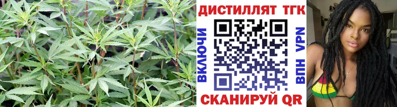 Дистиллят ТГК жижа  Тавда 