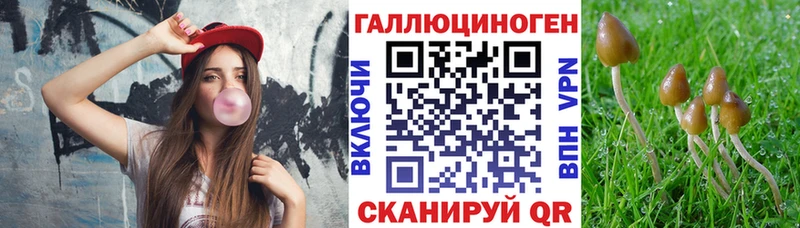 Псилоцибиновые грибы ЛСД  где купить наркоту  Тавда 
