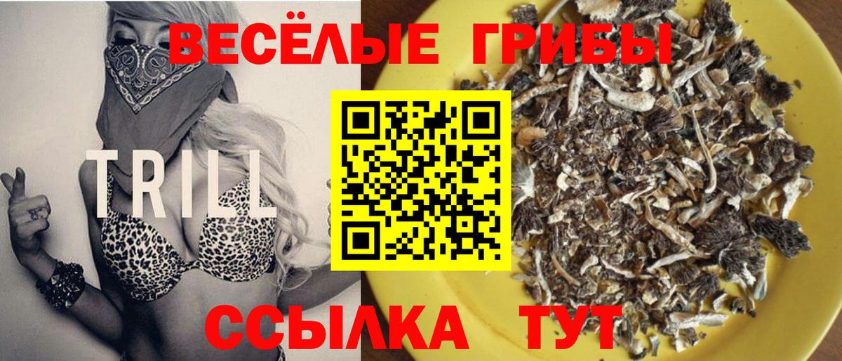 Галлюциногенные грибы прущие грибы Тавда