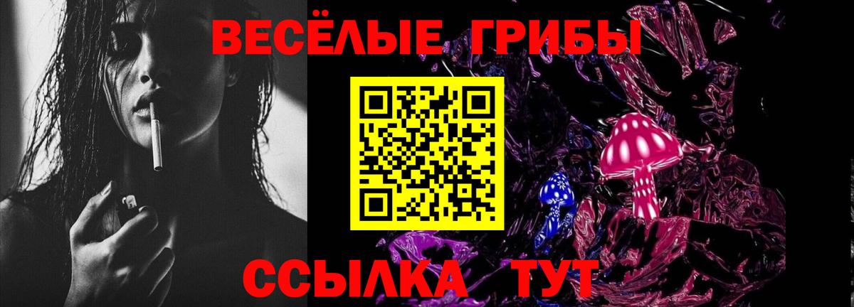 Псилоцибиновые грибы GOLDEN TEACHER  Псилоцибиновые грибы Psilocybine cubensis  Тавда  закладка  Вход с VPN 